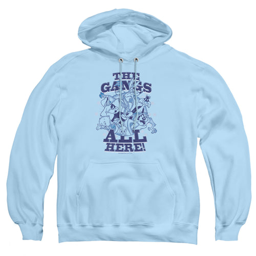 Looney Tunes Blue Gang Pullover Hoodie