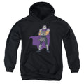 Teenage Mutant Ninja Turtles Shredder Youth Hoodie