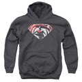 Batman v Superman Super Splatter Logo Youth Hoodie