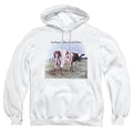 Pink Floyd Atom Heart Mother Pullover Hoodie