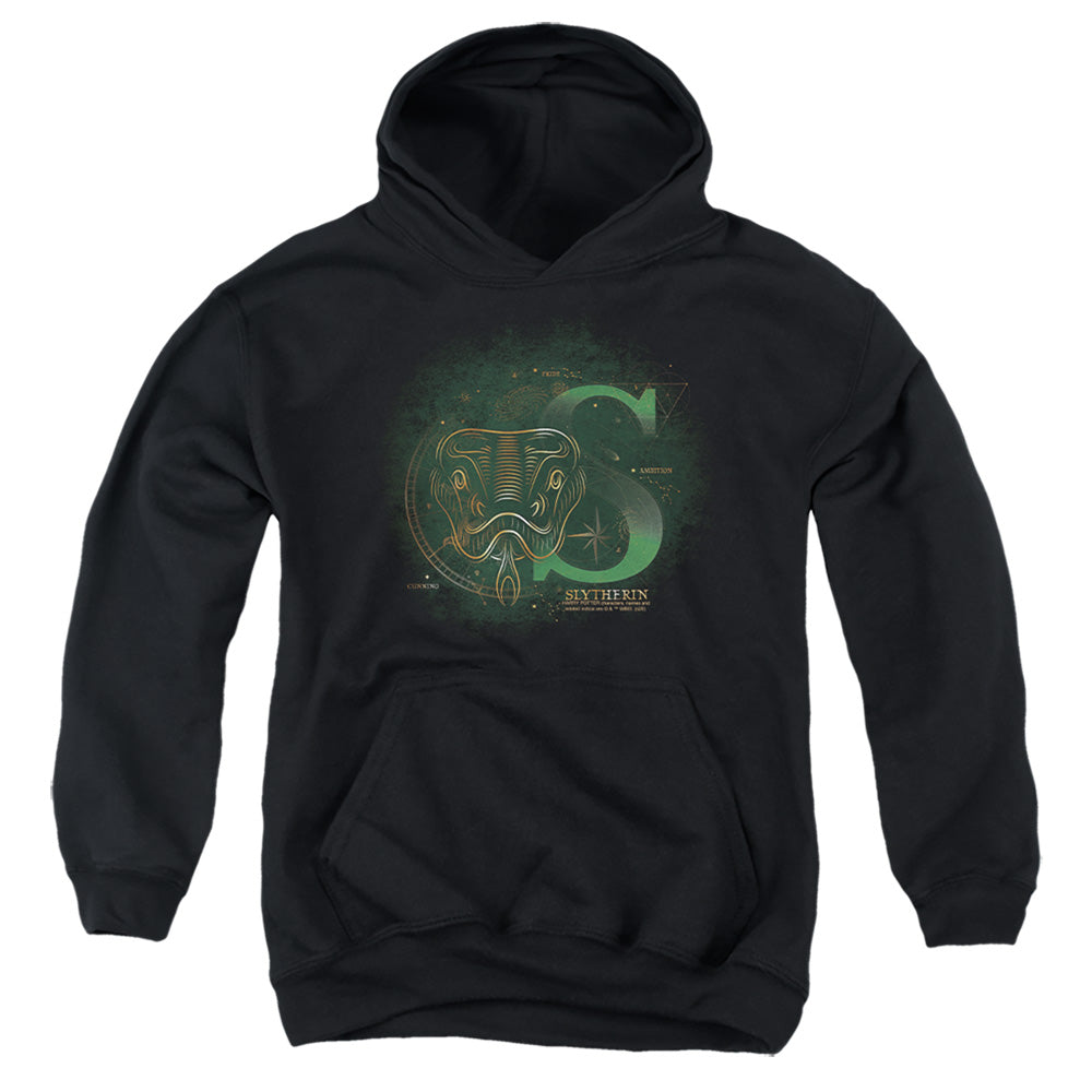Harry Potter Celestial Nomad Slytherin Youth Hoodie