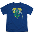DC Comics Distressed Arrow Youth/Toddler T-Shirt
