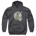 DC Comics Right On Target Youth Hoodie