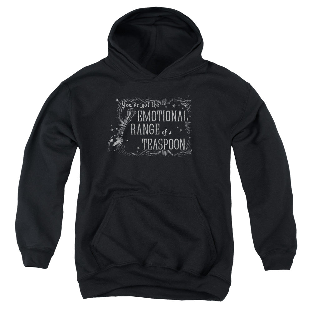 Harry Potter Teaspoon Youth Hoodie
