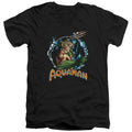 Justice League Ruler Of The Seas V-Neck T-Shirt