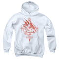 Dungeons & Dragons Year of the Dragon Red Lantern Youth Hoodie
