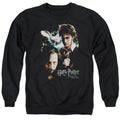 Harry Potter Harry And Sirius Crewneck Sweatshirt