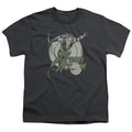 DC Comics Right On Target Youth/Toddler T-Shirt