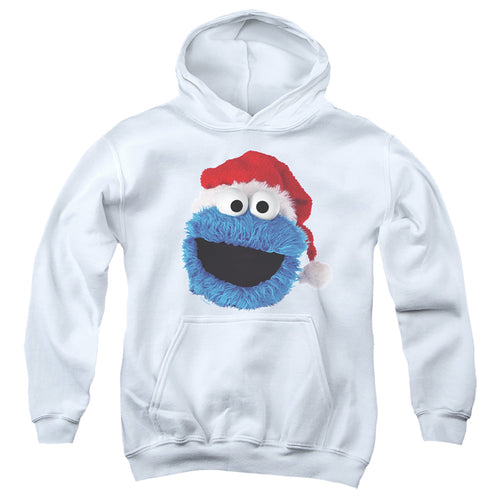 Sesame Street Cookie Monster Christmas Hat Youth Hoodie
