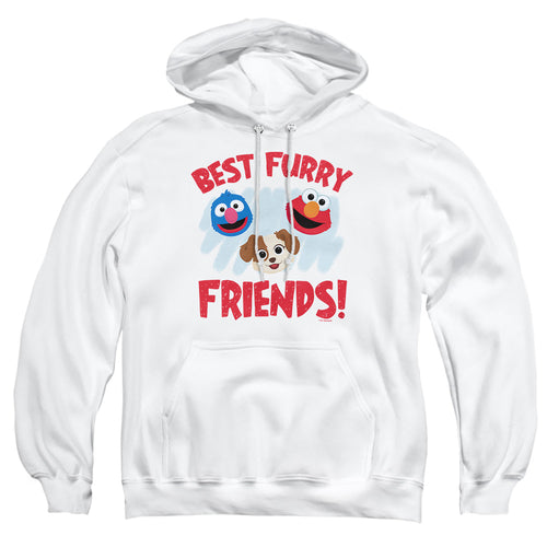 Sesame Street Best Furry Friends Pullover Hoodie