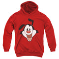 Animaniacs Yakko Head Youth Hoodie