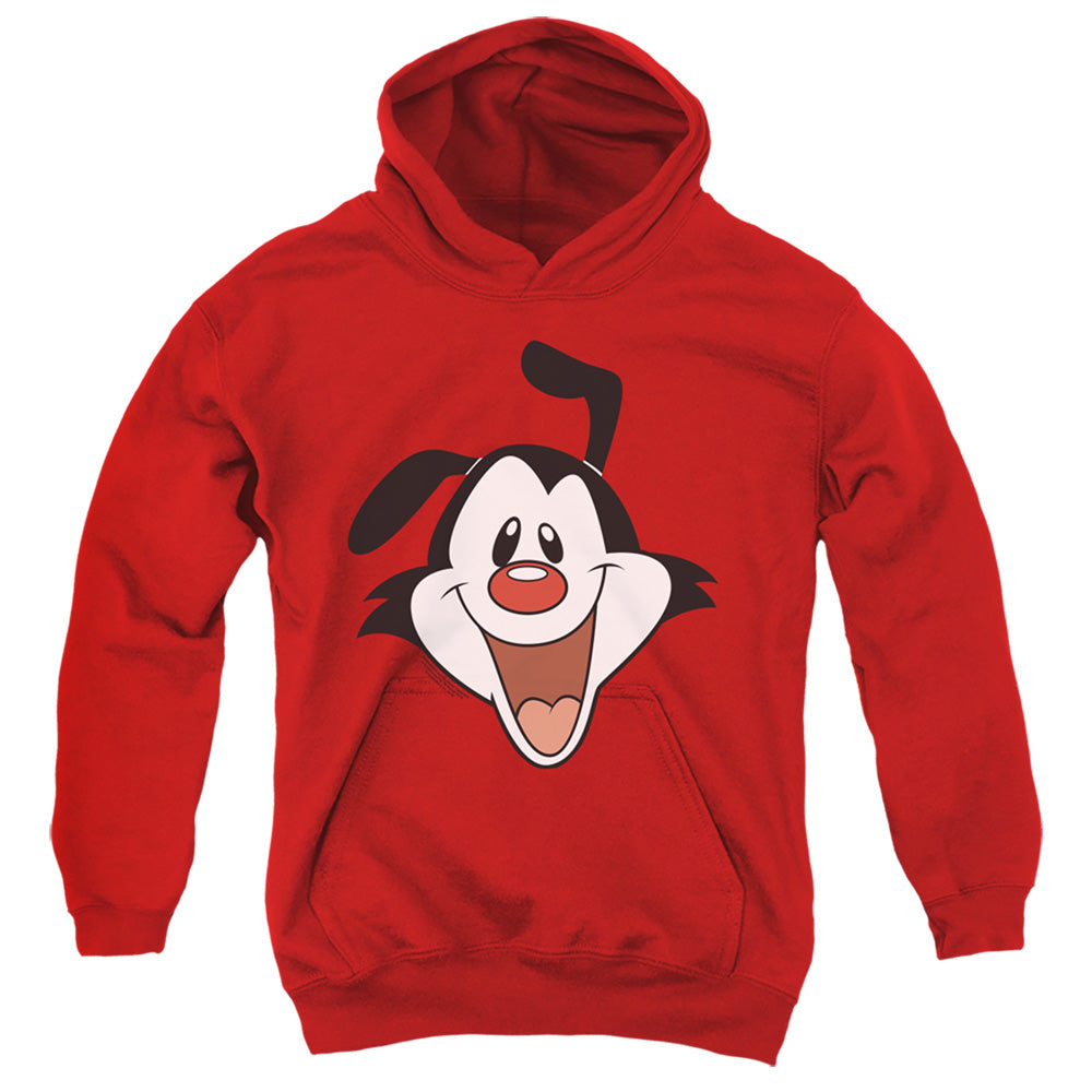 Animaniacs Yakko Head Youth Hoodie