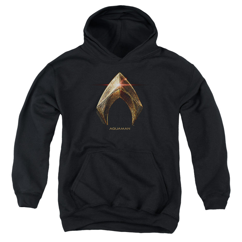 Justice League Aquaman Logo Youth Hoodie