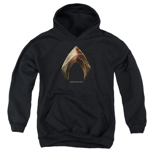 Justice League Aquaman Logo Youth Hoodie
