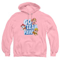 Paw Patrol Go Team Paw Pullover Hoodie