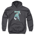 DC Comics Desaturated Green Lantern Youth Hoodie