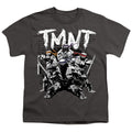 Teenage Mutant Ninja Turtles Team Youth/Toddler T-Shirt