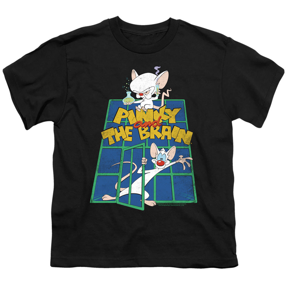 Pinky and the Brain Classic Logo Youth/Toddler T-Shirt