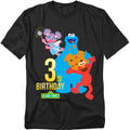 Sesame Street 3RD Birthday T-Shirt