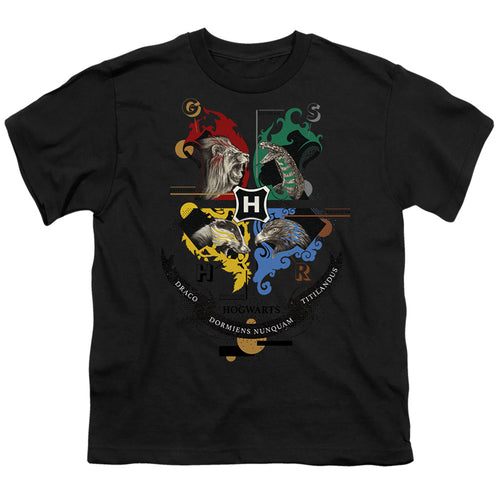 Harry Potter Hogwarts Magicial Mischief Level Up Crest Youth/Toddler T-Shirt