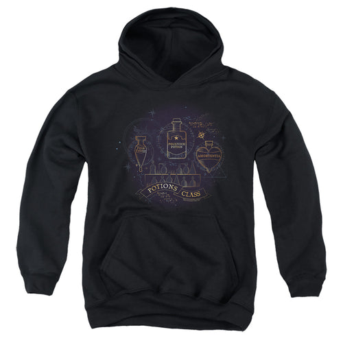 Harry Potter Potions Class Youth Hoodie