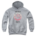 Pink Floyd Animals Tour 77 Youth Hoodie