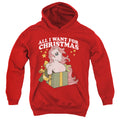 My Little Pony All I Want Youth Hoodie