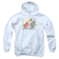 Wild Wings Cardinals Rustic Retreat Youth Hoodie