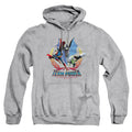 Justice League Team Power Pullover Hoodie
