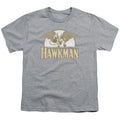 DC Comics Fly By Youth/Toddler T-Shirt