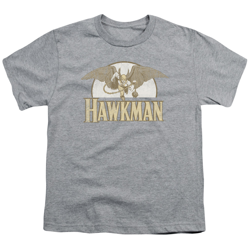 DC Comics Fly By Youth/Toddler T-Shirt