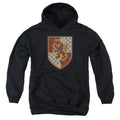 Harry Potter Gryffindor Shield Crest Youth Hoodie