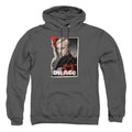Harry Potter Draco Frame Pullover Hoodie
