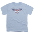 DC Comics Red,White & Blue Youth/Toddler T-Shirt