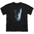 Harry Potter Dumbledore Face Youth/Toddler T-Shirt