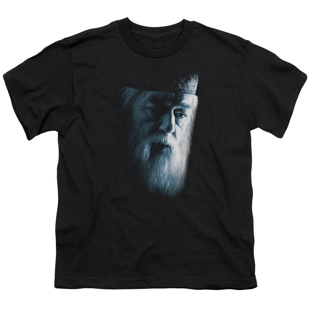 Harry Potter Dumbledore Face Youth/Toddler T-Shirt