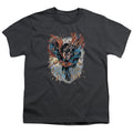 Superman Within My Grasp Youth/Toddler T-Shirt