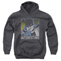 DC Comics Interesting Youth Hoodie