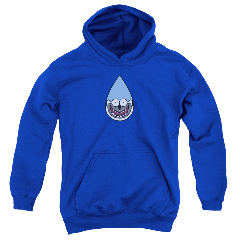 Regular Show Mordecai Youth Hoodie