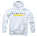 Friends Reunion Logo Youth Hoodie