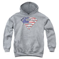 Superman All Youth Hoodie