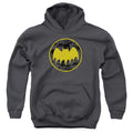 Batman Vintage Symbol Collage Youth Hoodie