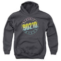 Beverly Hills 90210 Color Blend Logo Youth Hoodie