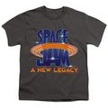 Space Jam A New Legacy Logo Youth/Toddler T-Shirt