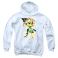Justice League Painted Archer Youth Hoodie
