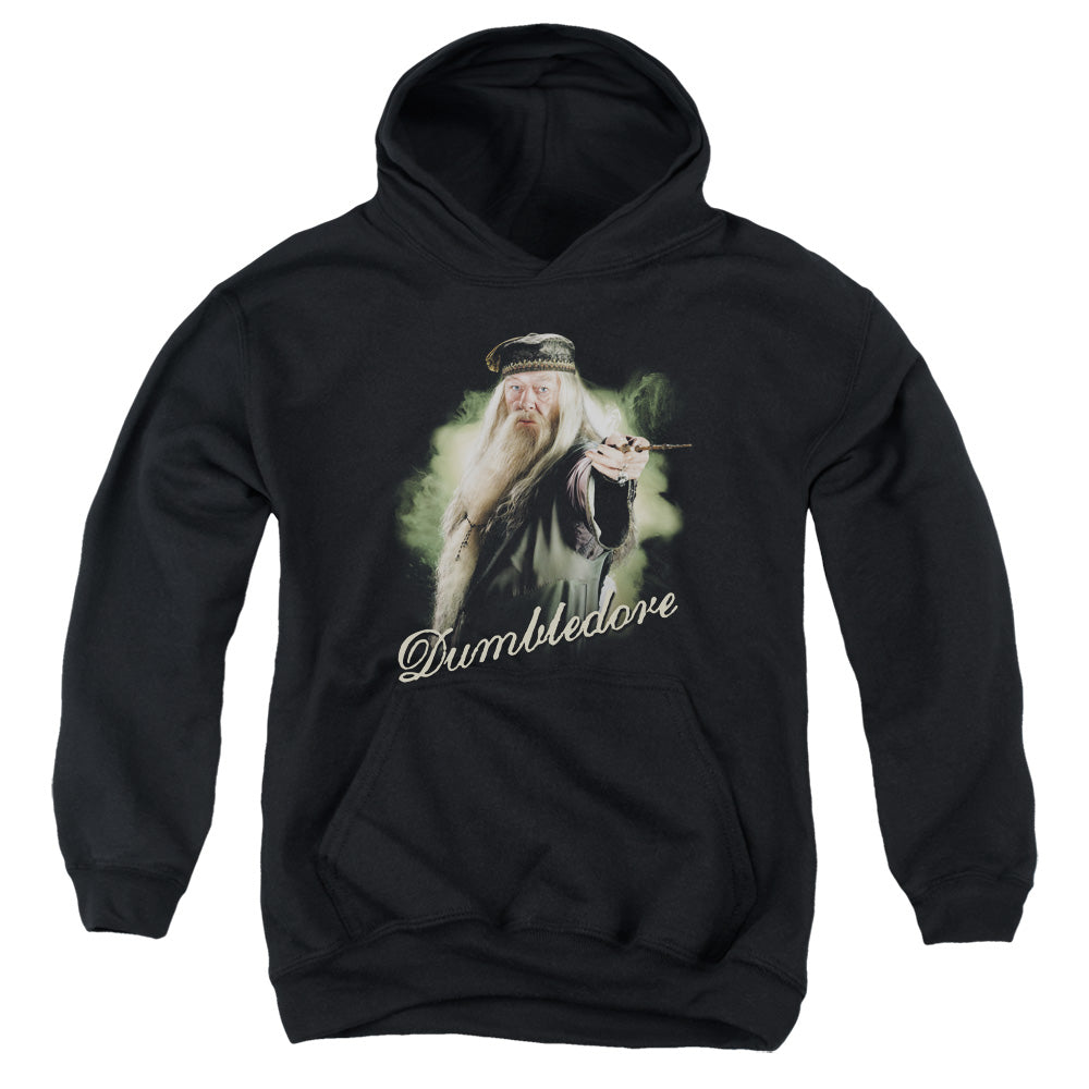 Harry Potter Dumbledore Wand Youth Hoodie