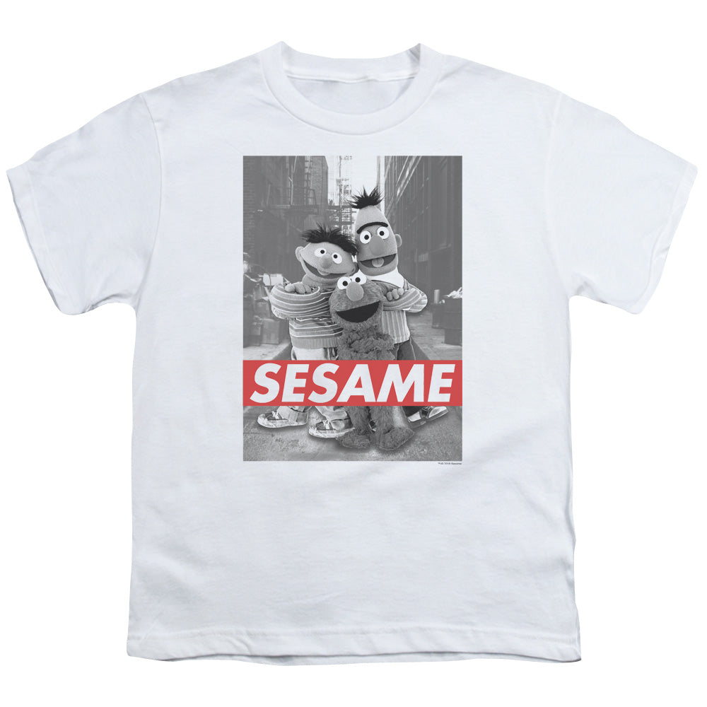 Sesame Street Photo Poster Youth/Toddler T-Shirt