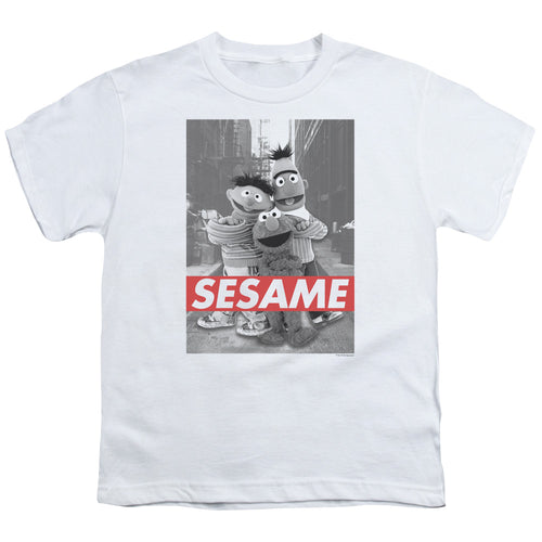 Sesame Street Photo Poster Youth/Toddler T-Shirt