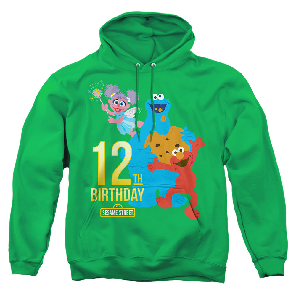 Sesame Street 12th Birthday Pullover Hoodie