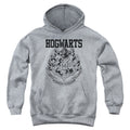 Harry Potter Hogwarts Athletic Youth Hoodie